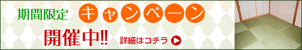期間限定キャンペーン